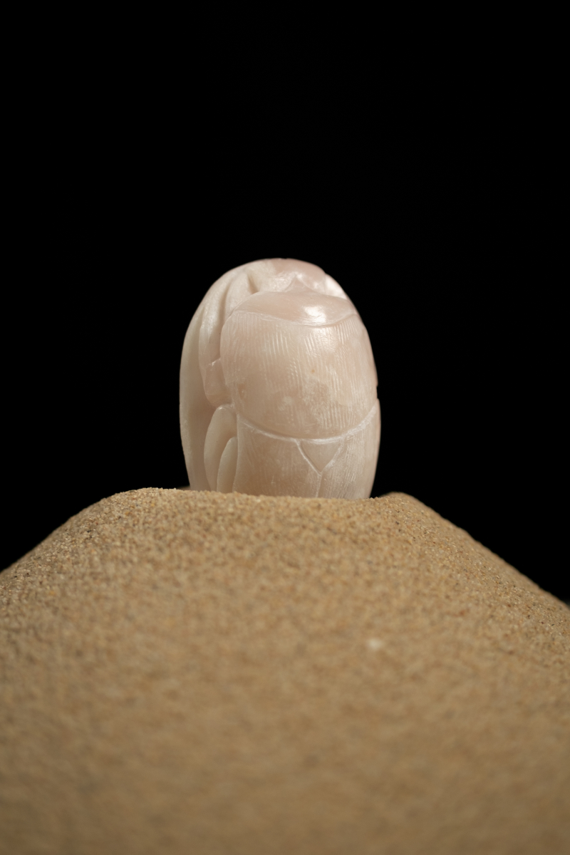 Save Our Souls